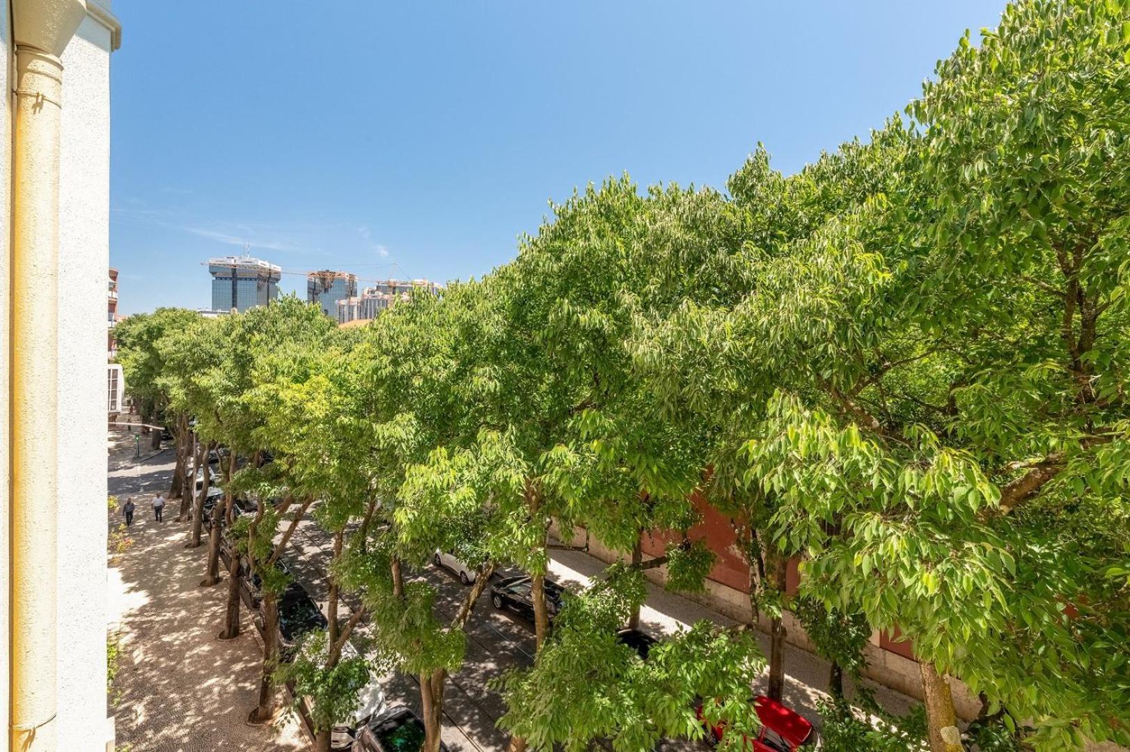 Eco Luxury Lisboa-campo De Ourique Apartamento *